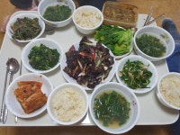 텃밭 채소로 차린 건강한 보약 밥상