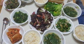 텃밭 채소로 차린 건강한 보약 밥상