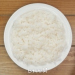모든게 귀찮을 땐 이게 딱! 마늘볶음밥