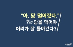 아 당 떨어졌다...건강하게 당충전! 아 당 떨어졌다...건강하게 당충전! 