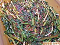 세상에서 제일 쉬운 김치 담그기 파김치 만드는 법