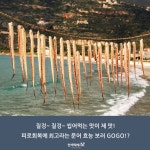 해산물이 반가운 10월 두번째! 피로는 굿바이♪ 문어편