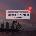 해산물이 반가운 10월 두번째! 피로는 굿바이♪ 문어편