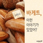 길쭉길쭉~ 바게트 빵, 이런 이야기가 숨어있었어?