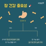 배가 자주 아프다면 여기 주목! 당신의 장을 위한 건강기능식품 :)