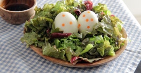 계란 공룡알 : 봄나들이 다이어트 도시락 / Diet egg lunch box 계란 공룡알 : 봄나들이 다이어트 도시락 / Diet egg lunch box 