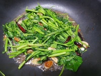 태국의맛, 모닝글로리 (공심채)볶음