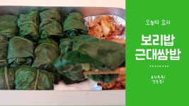 건강하게 다욧으로도 좋은 보리밥근대쌈밥