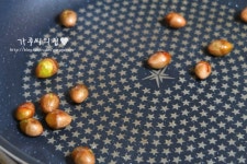 은행 까는법 & 전자렌지 · 프라이팬 굽는법