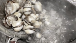 [술안주&집밥] 간단하게 만드는 꼬막무침