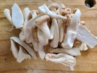 머쉬마루버섯 닭볶음탕