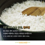 [우리 밥상, 우리 품종] 한식에 잘 어울리는 우리품종, 참드림