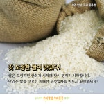 [우리 밥상, 우리 품종] 좋은 쌀 고르는 법
