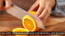 퍼플 패션 샹그리아