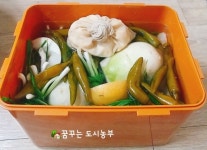 천수무로 동치미 담그기