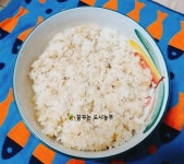 삭힌고추(지고추) 넣어 김밥만들었어요 ~