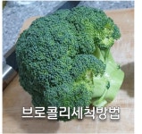 그냥 씻으면 안되는 브로콜리 세척방법