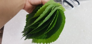 광어 들기름 깻잎조림 광어 들기름 깻잎조림 