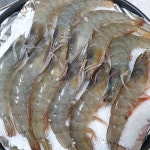새우 소금 구이. (제철 맞은 달큰하고 탱탱한 대하구이.)