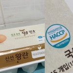 [HACCP으로 요리해썹!] 초간단 라면볶음밥과 크림치즈오믈렛