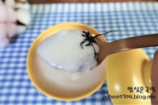 마죽