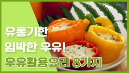 아삭아삭! 무더위 입맛 살리는 별미 여름김치★