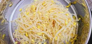 아삭한 식감이 좋은 국민반찬 콩나물무침 만들기