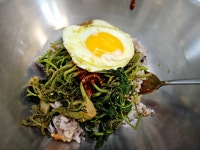 봄에 꼭 먹어야하는 두릅