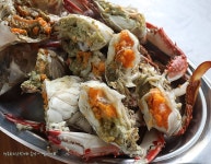 암꽃게 꽃게찜 & 꽃게탕