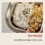 한그릇 뚝딱 유아식 양파 계란 덮밥 돌아기 간단한 레시피