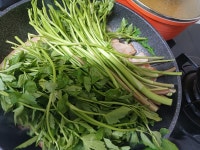 삼겹살맛있게 먹는법 삼겹살미나리구이 미나리 맛있게 먹는법 삼겹살맛있게 먹는법 삼겹살미나리구이 미나리 맛있게 먹는법 