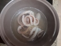 입맛 돋우는 매콤한 낙지볶음, 산낙지볶음