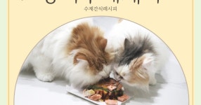고양이 생일 케이크 만들기 반려동물 수제간식 어렵지 않아요