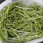 지금 아니면 내년에나 맛 볼 수있는 고구마순 김치