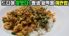 계란볶음밥 계란밥 계란덮밥 황금레시피 만들기 부추계란볶음밥 레시피