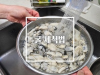 싱싱한 굴 세척하는 법, 굴 데치는 방법, 냉동실 소분 보관하기