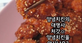 장모님 죄송합니다. 홈메이드 처갓집양념통닭