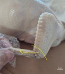 삼계탕 누룽지백숙 동시에! 만들기 | 이렇게 끓이면 맛집 부럽지 않아요 삼계탕 끓이는법