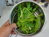 새우 시금치볶음 레시피