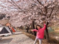 요리를 즐겁게~ 만개의레시피