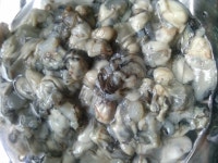 굴밭에서 따온 신선한굴 ~파는굴이랑은 향부터 달라요 진짜고소하고 맛있어서 자꾸 손이가게 하더라구요 김장땐 김장 김치랑 보쌈이랑... 