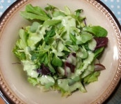 오늘은 운동다녀온후 하루종일 시체놀이 했네요~ 올만에 하니 온몸이쑤시고...죽겠드라구요... 점심엔 이천에서 베이비야채 농장하는 친구가... 