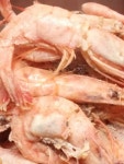 맛난 저녁드시고들 계신가요? 간만에... 저도 맛난거해서 저녁먹어요 대하는 많이... 굵은소금 조금뿌려 스팀해서..완전 달고 맛나네요 맛저들 하세요 