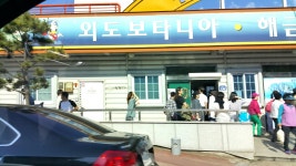 거제도에도 격리 환자가 1명있다네요.. 확정환자는 아니지만 겁이나네요ㅠㅠ 