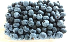 다들후식골라드셔용ㅎㅎ다른건다산거고블루베리는엄마가농장하셔서어제직접따서큰고만골라다주셧어요^-^ 