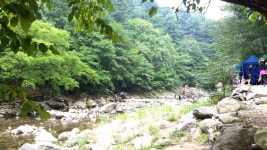 용추계곡 왔네요^^시부모님과~~ 아침 일찍 도착해서 수영하공 닭볶음탕과 감자전먹고 또 물놀이하고 이제 좀 쉴려구요^^ 신나게 놀고 오후엔 청평... 