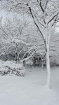 당진에도~^^^ 