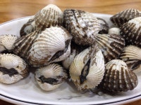 오래간만에 신랑과단둘이 외식했어요. 전라도맛집가서 벌교꼬막정식으로. ㅎ 별미더군요. 1월1일입니다. 만개의레시피님들 새해 복 많이받세요.~ 