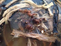 처음이라 이론과 긴장으로.ㅠ 힘드네요. 간만 계속봐서 물만 먹히고.ㅎ 토요일이네요. 뽀글 파마도하고 ㅋ맛있게 주말보내세요.ㅎ 