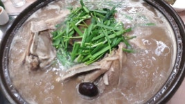 주말에 시댁가서 먹고 쇼핑만하다 왔네요 황칠오리백숙 먹으러갔어요 황칠백숙 처음 들어봤는데 황칠이 몸에 엄청 좋다네요 시부모님이... 